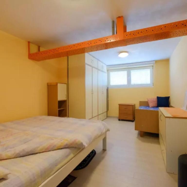 Apartment Fontana - Apartman sa 1 Spavaćom Sobom - 19