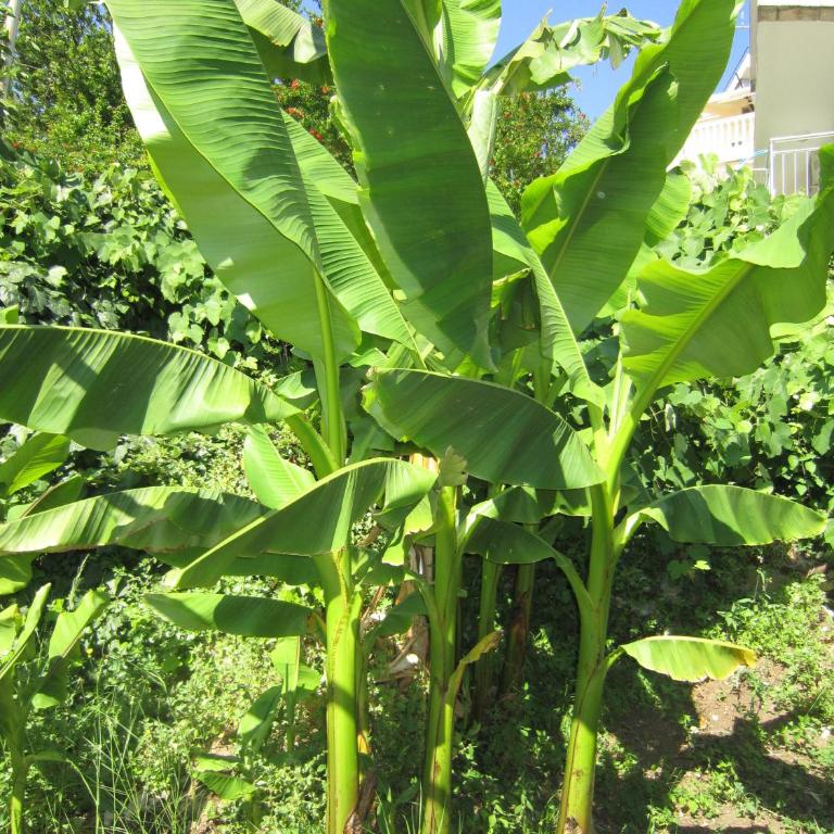Vintage Summer House - Kuća sa 2 Spavaće Sobe - 23