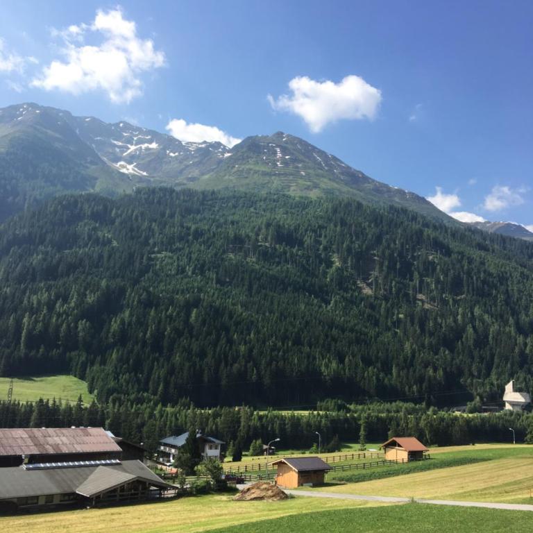 Apart Jehle - Apartment mit Blick auf die Berge - 36