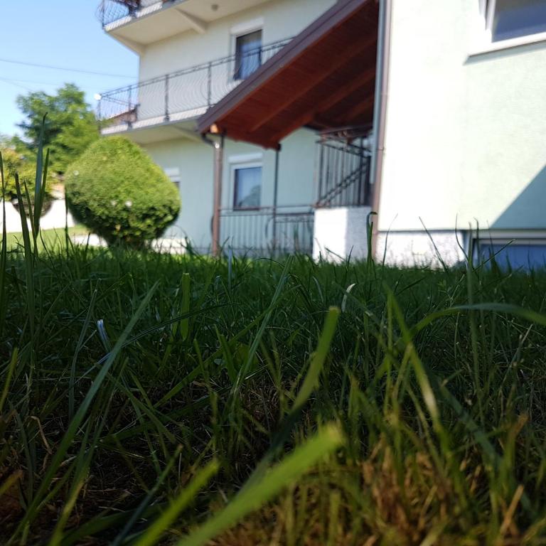 Guest house Dinka - Vila sa Pogledom na Vrt - 28