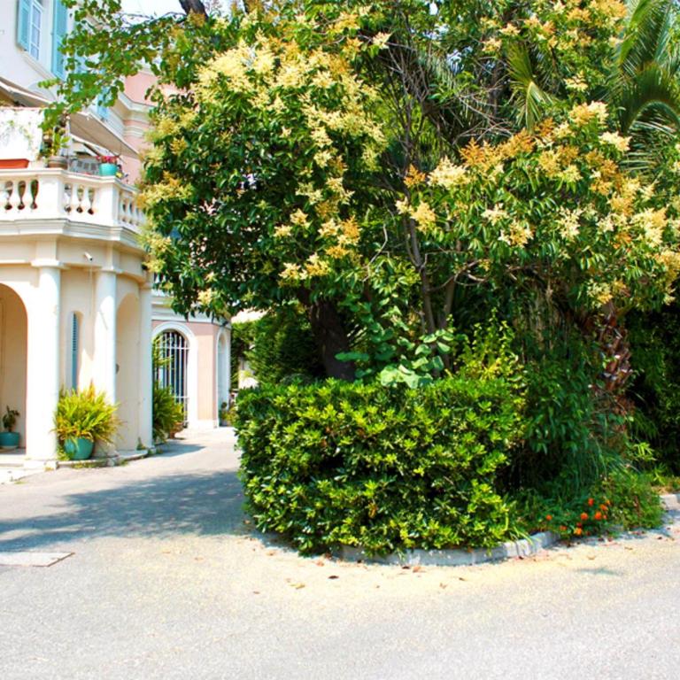 Apartment Villa Anahit - Appartement - Rez-de-Chaussée - 19