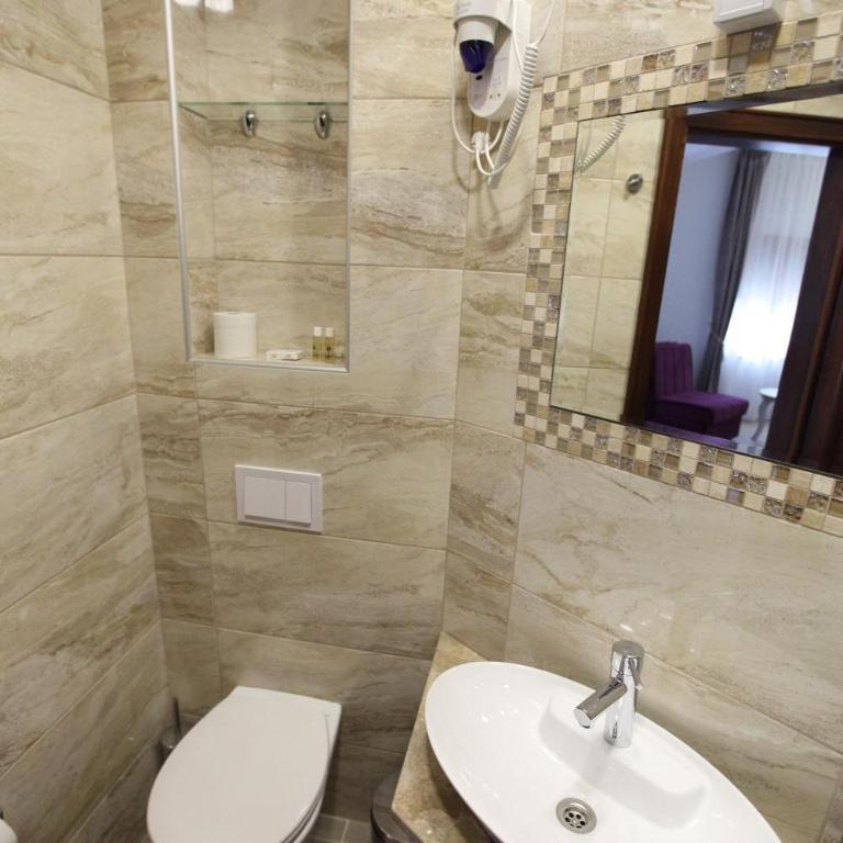 Apis Hotel - Deluks Dvokrevetna Soba sa Bračnim Krevetom - 15