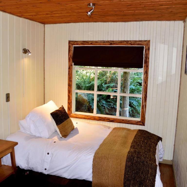 Posada Queulat - Standard Quadruple Room - 4