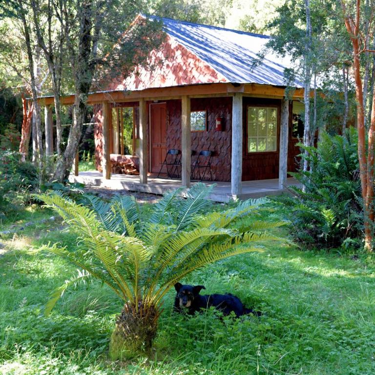 Posada Queulat - Standard Quadruple Room - 5