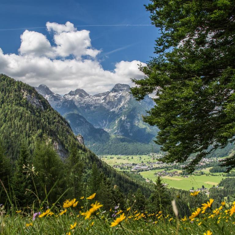 Flatscherbauer - Apartment mit Blick auf die Berge - 15
