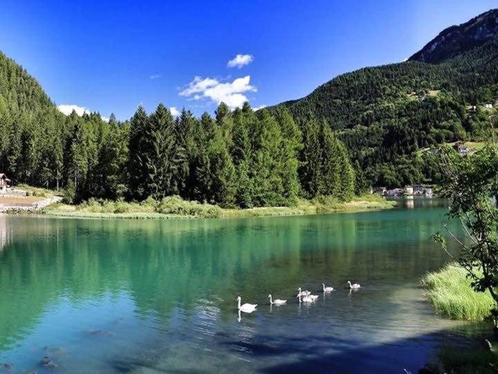 Appartamento Italia - Appartamento con 2 Camere da Letto - 17
