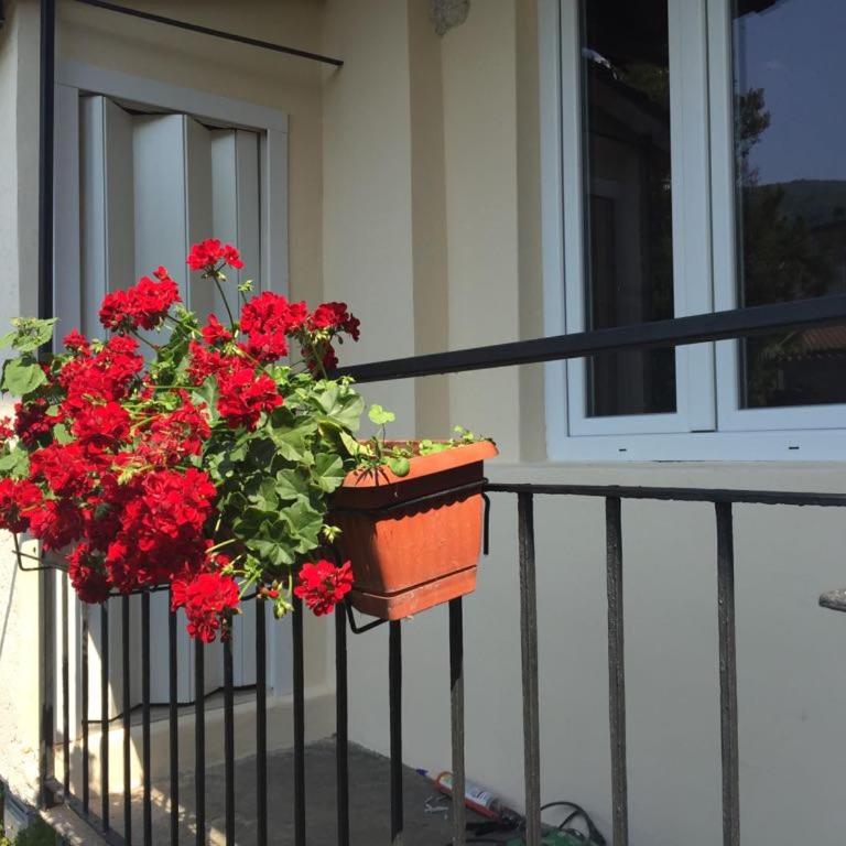 La Casina - Appartamento con Vista Giardino - 14