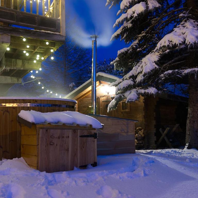 Chalet Des Sangliers - Chalet - 4