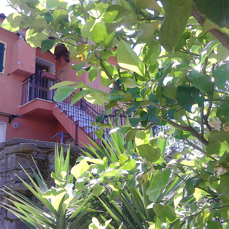 Mare, Monti e...Cinque Terre - Appartamento con 2 Camere da Letto - 38