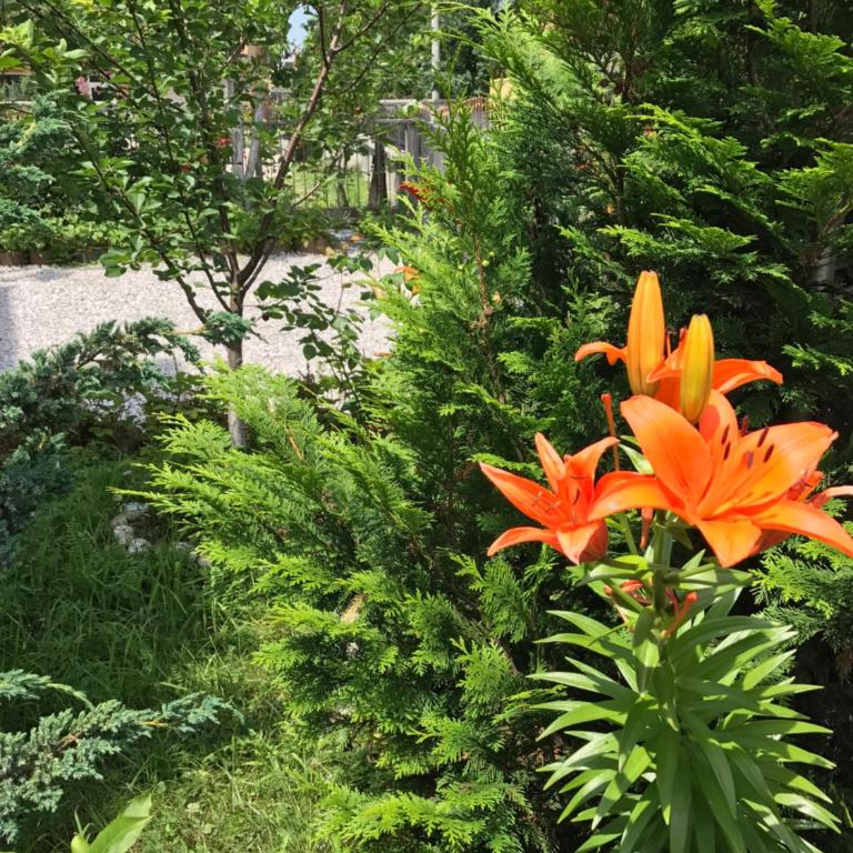 Apartment near the Airport - Apartman - Prizemlje - 12