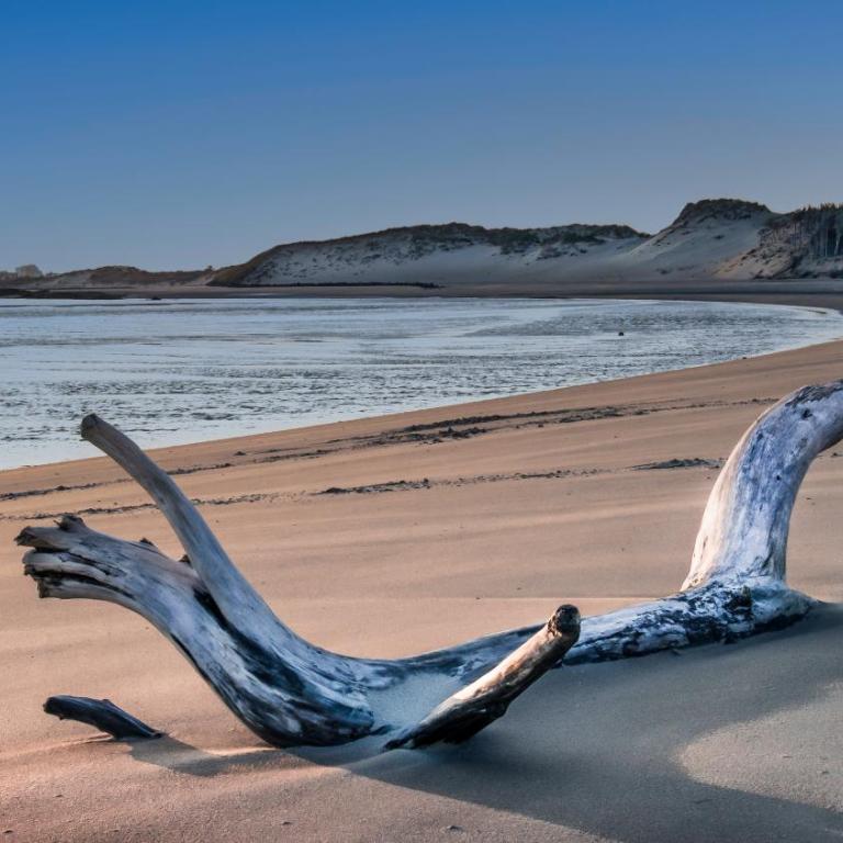 Studio "Les pieds dans l'eau" - 50m Front de Mer - Appartamento Monolocale - 25