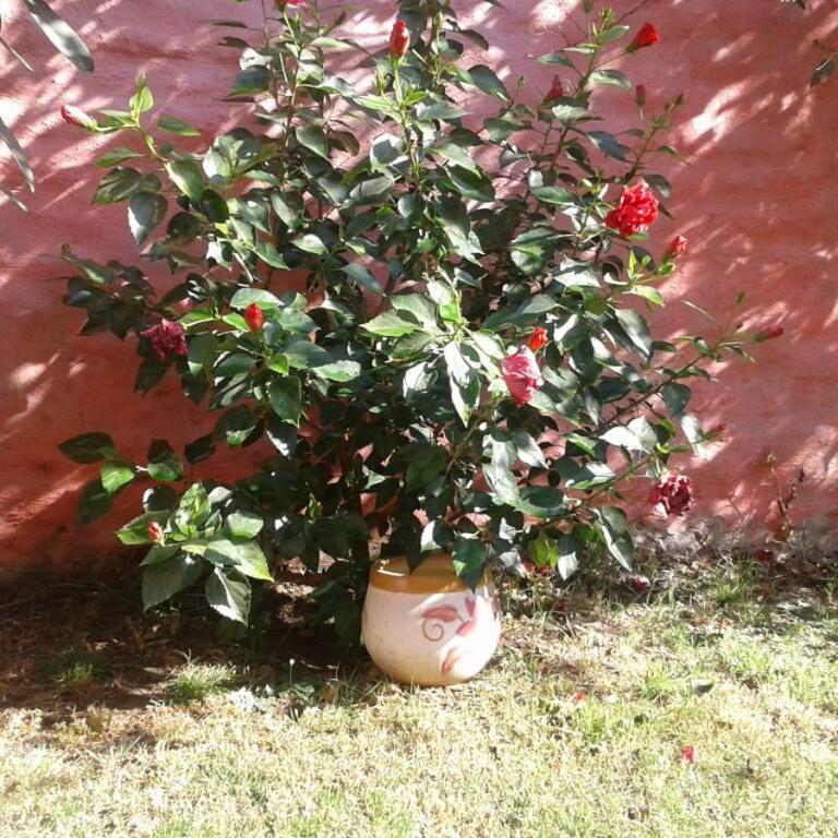 LF Departamentos - Apartamento de 2 dormitorios - 32