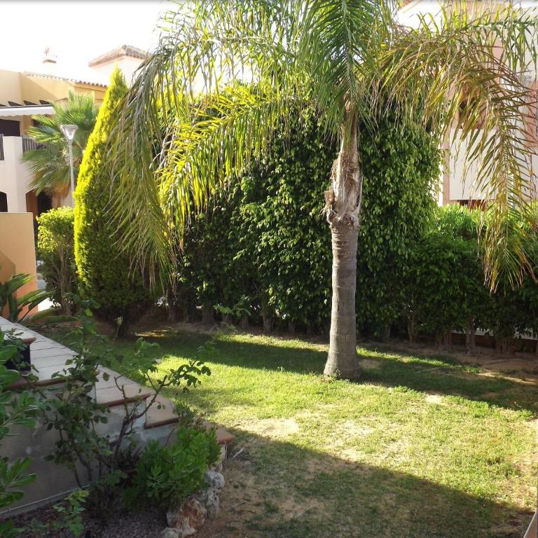 Bungalow Punta Marina - Apartamento con terraza - 34