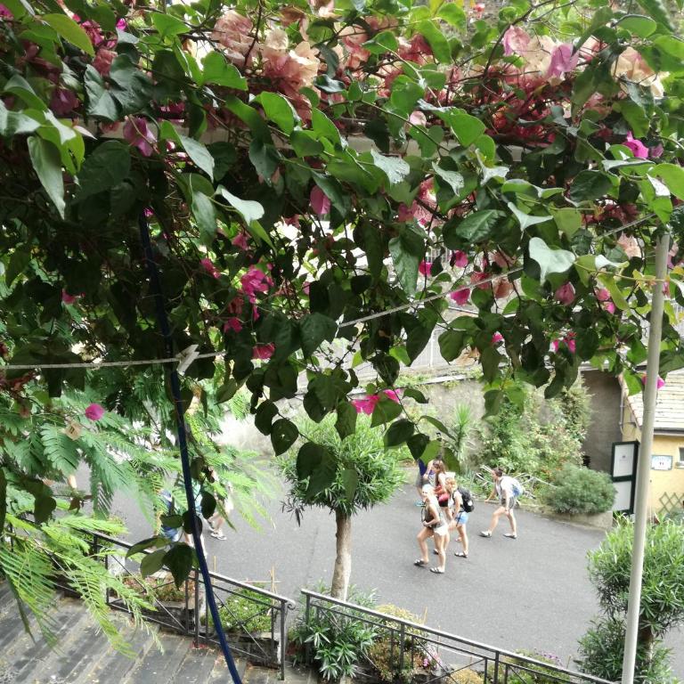 Riomaggiore Appartamenti - Apartment mit 1 Schlafzimmer (5 Erwachsene) - 3