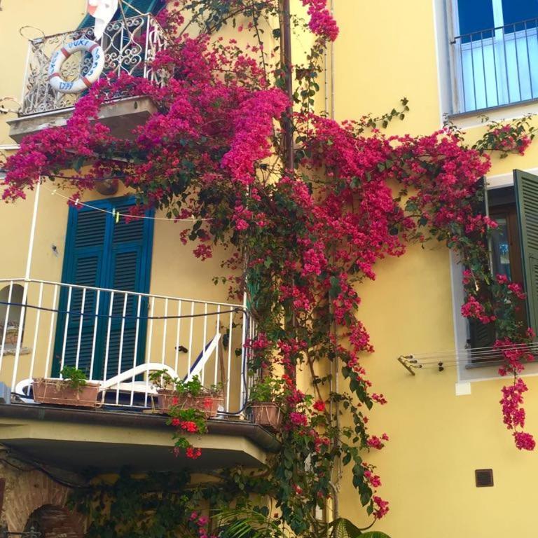 Riomaggiore Appartamenti - Apartment mit 1 Schlafzimmer (5 Erwachsene) - 2