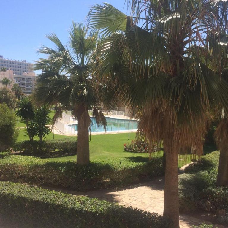 Apartamento Playasol Garden - Apartamento con vistas a la piscina - 22