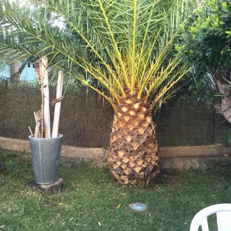 Les Milles Plantes - Apartment - Erdgeschoss - 12