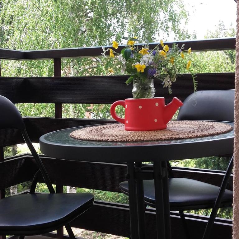 Apartmani Starovla - Apartman sa 1 Spavaćom Sobom - 20