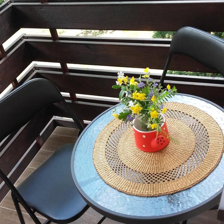 Apartmani Starovla - Apartman sa 1 Spavaćom Sobom - 19