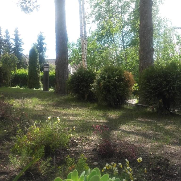 Apartmani Starovla - Apartman sa 1 Spavaćom Sobom - 17