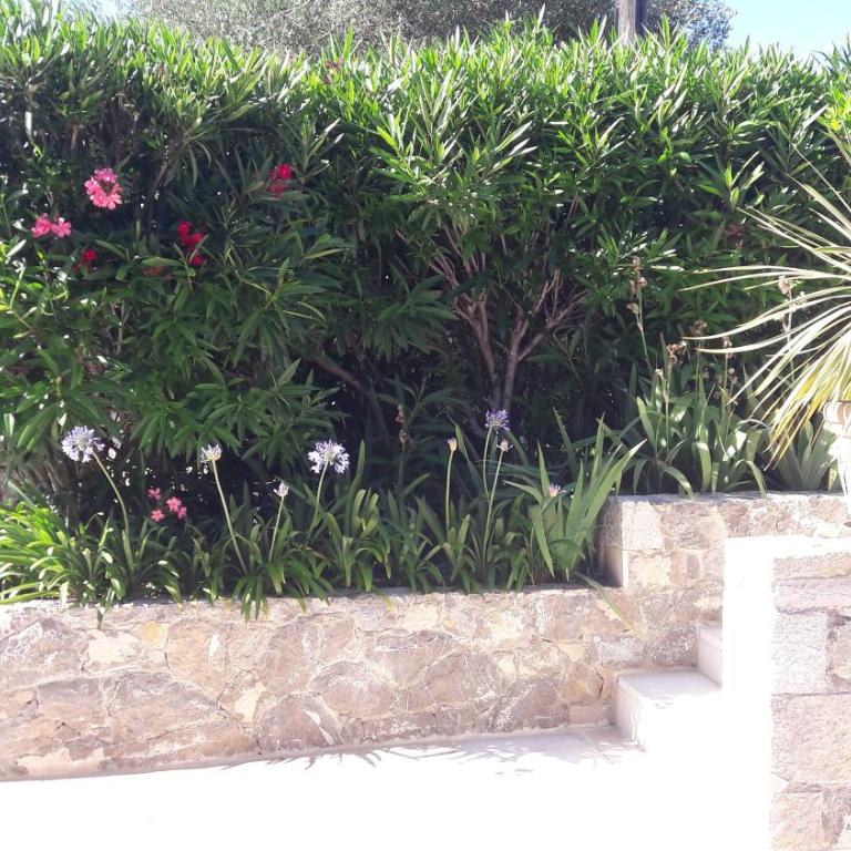 Mougins Mas lumineux vue sur le village - Villa 3 Chambres - 29