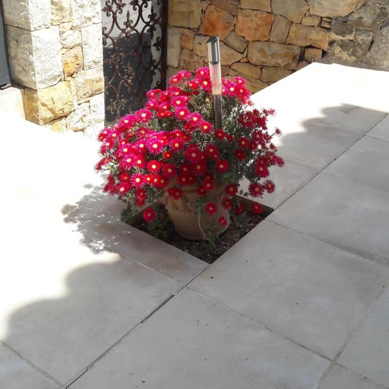 Mougins Mas lumineux vue sur le village - Villa 3 Chambres - 30