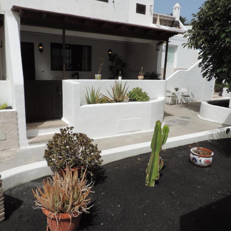 Blue Turtle Apartment, Next to the Beach - Apartamento - 2