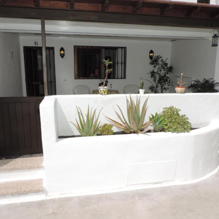 Blue Turtle Apartment, Next to the Beach - Apartamento - 24