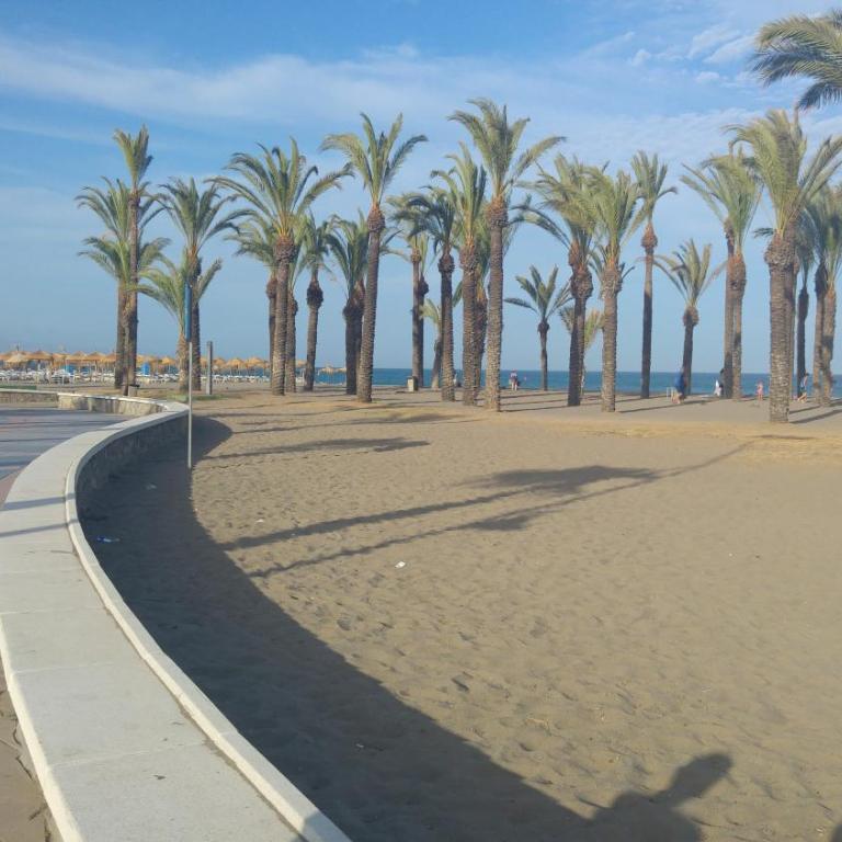 Apartamento Playasol Garden - Apartamento con vistas a la piscina - 28