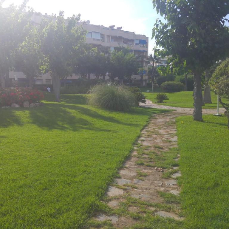 Apartamento Playasol Garden - Apartamento con vistas a la piscina - 24