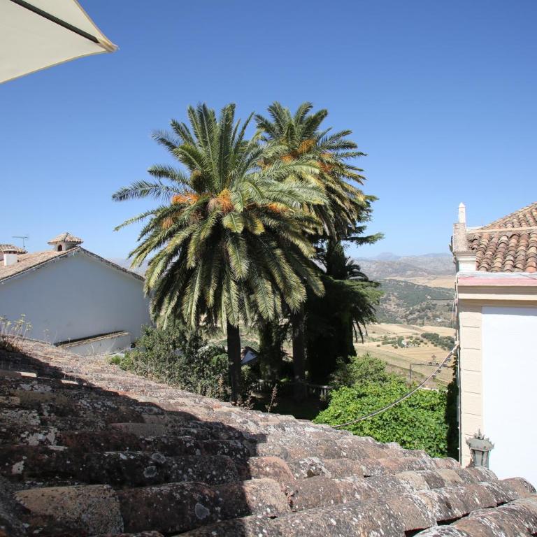 Holiday House Tenorio - Casa - 30