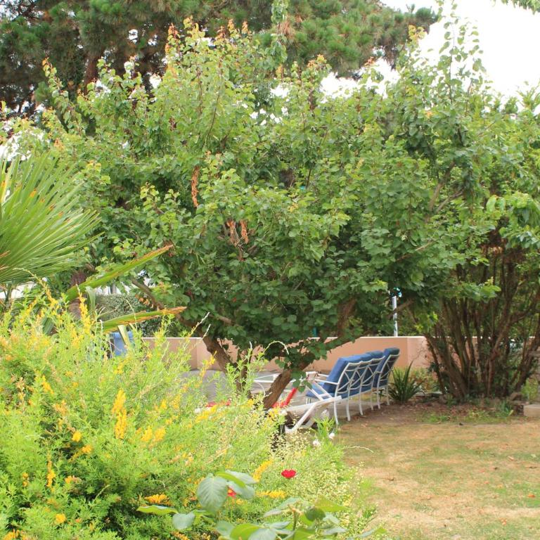 Olékaté - Apartamento - 16