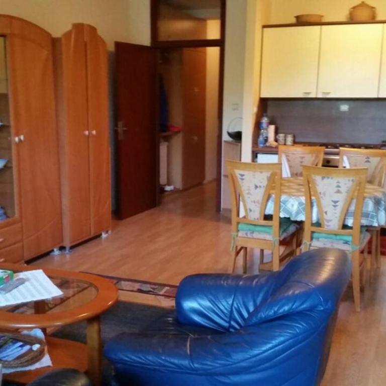 Zlatibor Jezero Apartman - Apartment with Garden View - 2