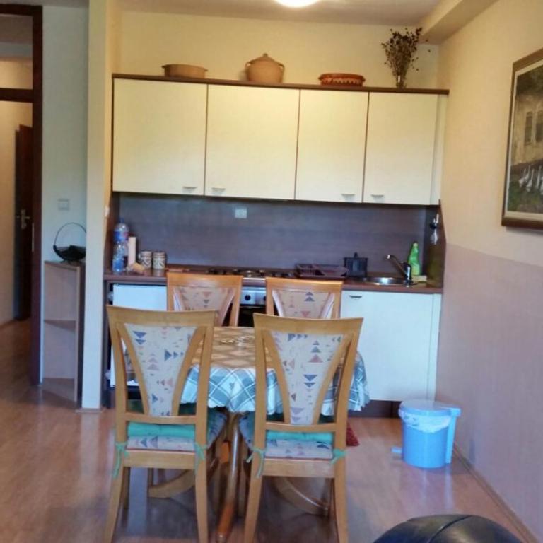 Zlatibor Jezero Apartman - Apartment with Garden View - 4