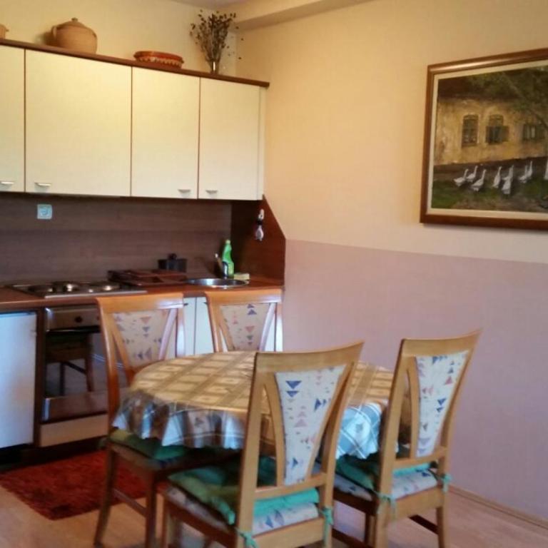 Zlatibor Jezero Apartman - Apartment with Garden View - 6