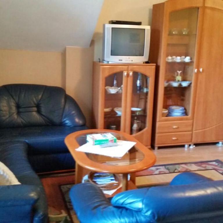 Zlatibor Jezero Apartman - Apartment with Garden View - 7