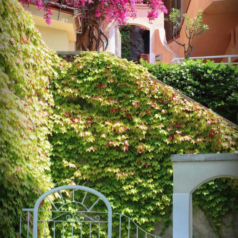 Venus apartment - Appartamento - 32