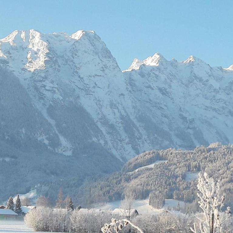 Ferienwohnung Alpenblick - Appartement avec Vue sur la Montagne - 30