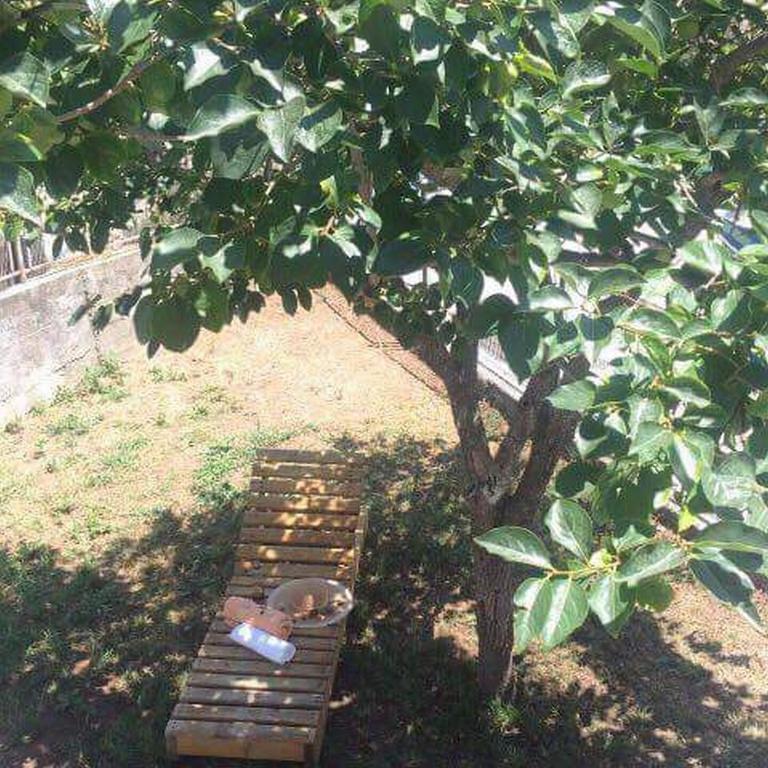 Holiday Home Aksentijevic - Kuća sa 2 Spavaće Sobe - 40