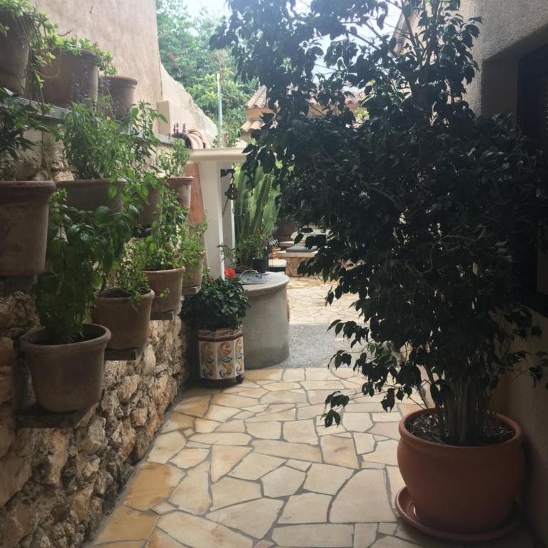 Stadthaus mitten im Künstlerviertel von Artá mit zwei Wohnungen - Apartamento - Planta baja - 18