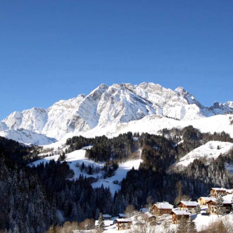 65m2 - balcon et vue sur les Aravis - Three-Bedroom Apartment - 1