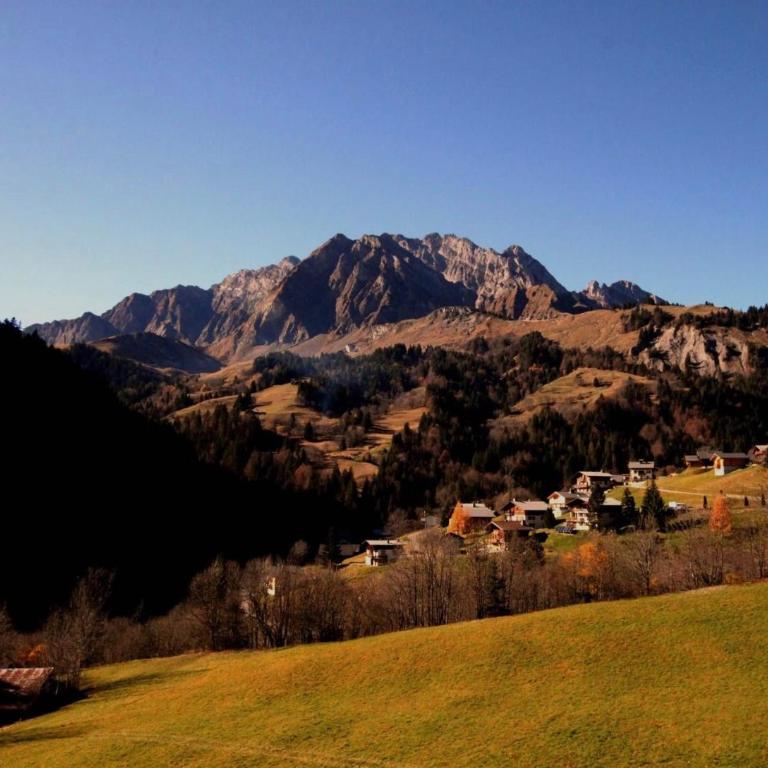 65m2 - balcon et vue sur les Aravis - Three-Bedroom Apartment - 10