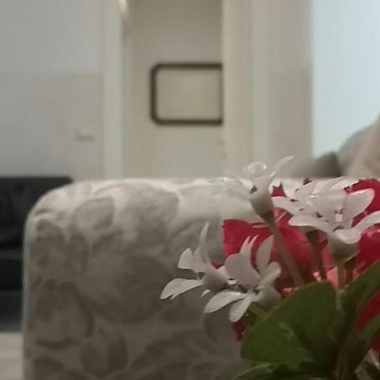 Amami Alfredo - Apartment - Ground Floor - 10