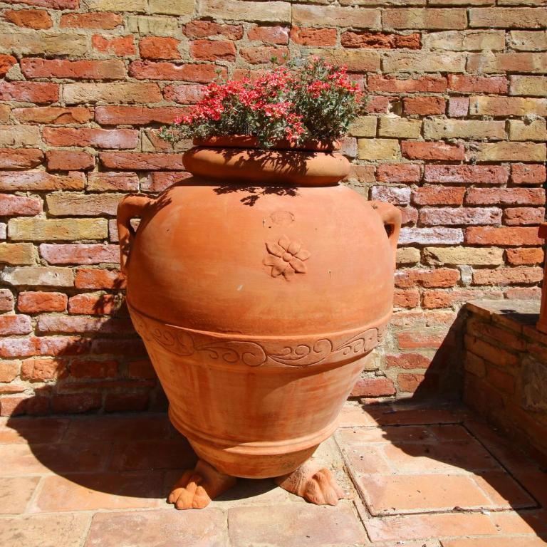Farmhouse in Montalcino with Pool and Garden - Casa Vacanze con 2 Camere da Letto - 18
