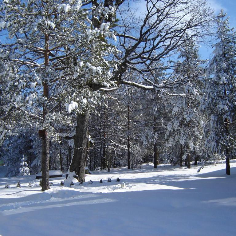 Apartments Beljić - Apartman - Prizemlje - 16