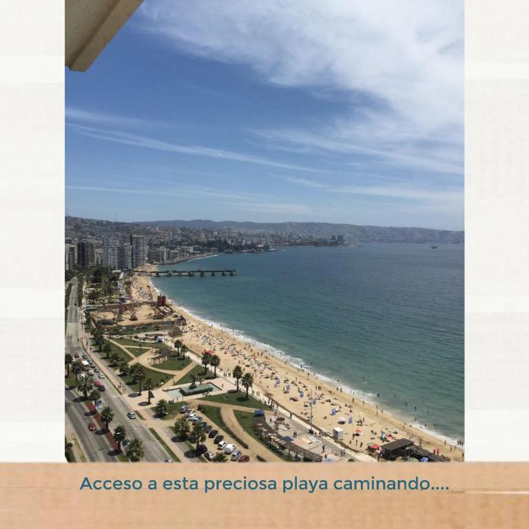 Ocean Pacific Dreams - Superior Apartment - 43