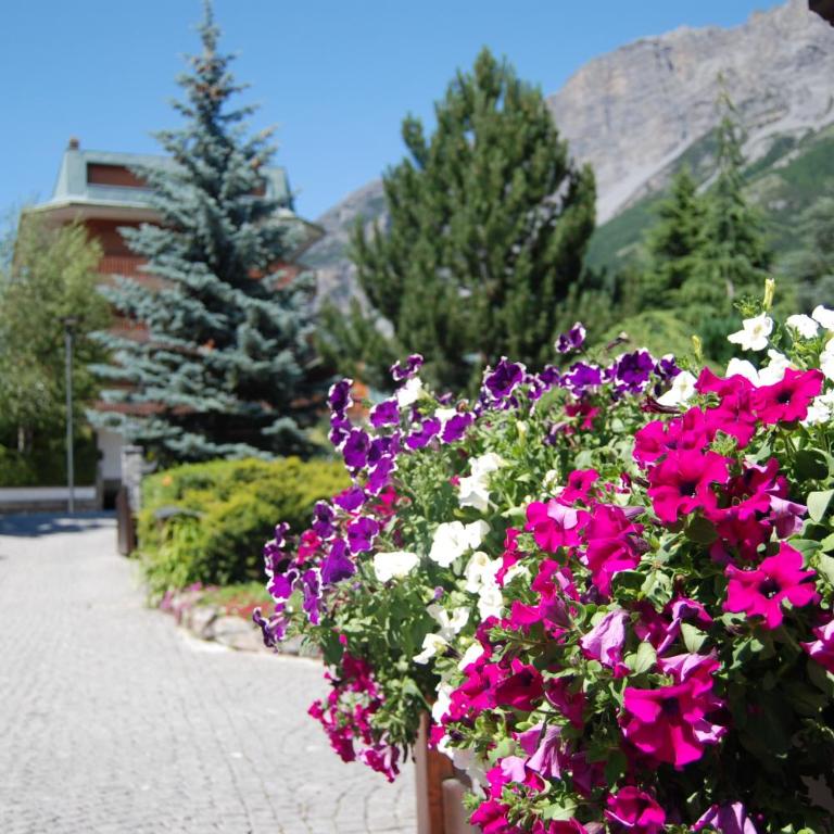 Chalet Gardenia - Appartamento con 1 Camera da Letto (2 Adulti) - 5