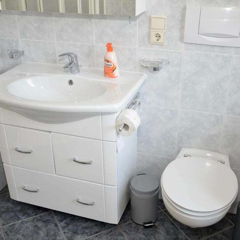 Emily Elisa Traum Ferienwohnung mit atemberaubenden Seeblick - Appartamento con Vista Montagna - 41