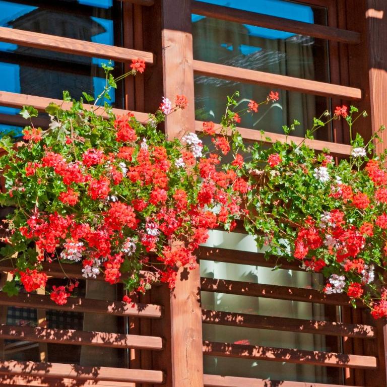 Pietre Gemelle Resort - Monolocale - 10