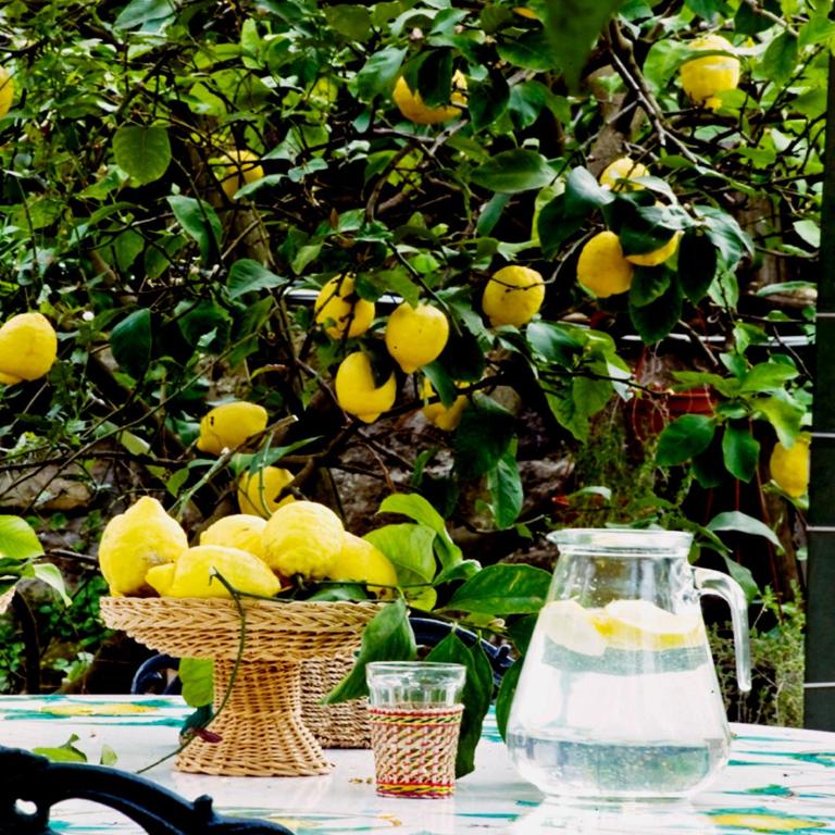 Suite Lidia B&B - Junior Suite con Vista Giardino - 38
